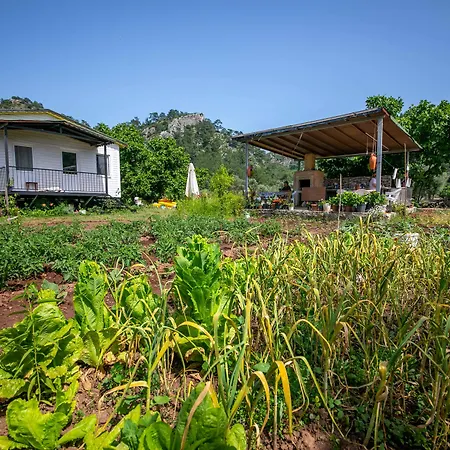 Panzió Guelsuem Hanim Evleri Orhaniye