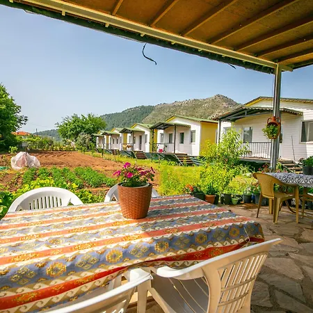 Guelsuem Hanim Evleri * Orhaniye