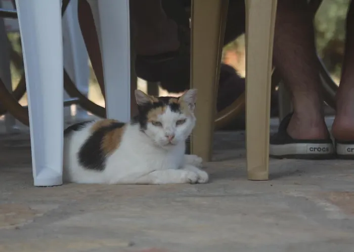 Guelsuem Hanim Evleri Bed & Breakfast Orhaniye (Marmaris)