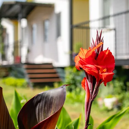 Guelsuem Hanim Evleri *