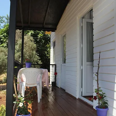 ベッド・アンド・ブレックファスト Guelsuem Hanim Evleri