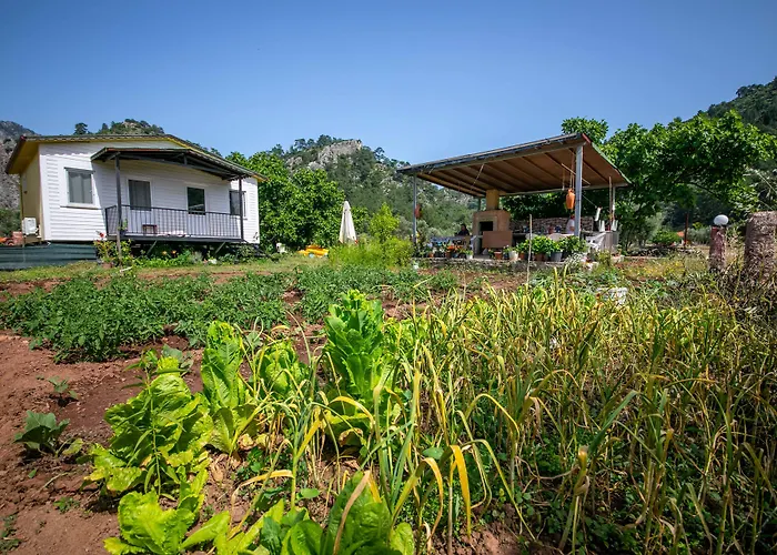 Oda ve Kahvaltı Guelsuem Hanim Evleri Orhaniye (Marmaris)