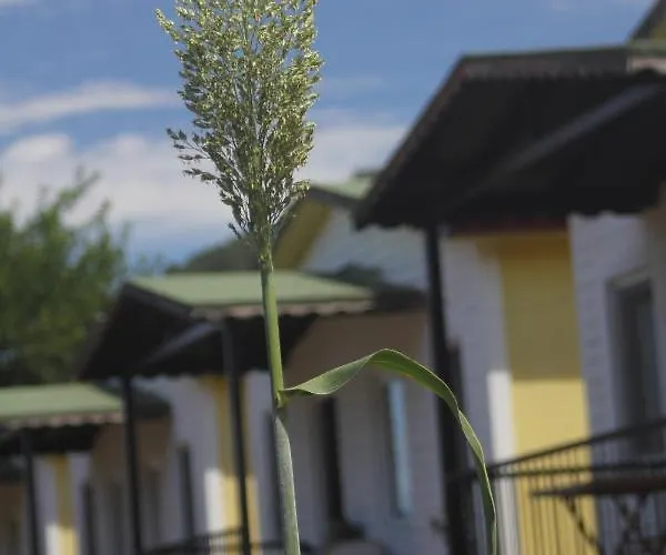 Guelsuem Hanim Evleri